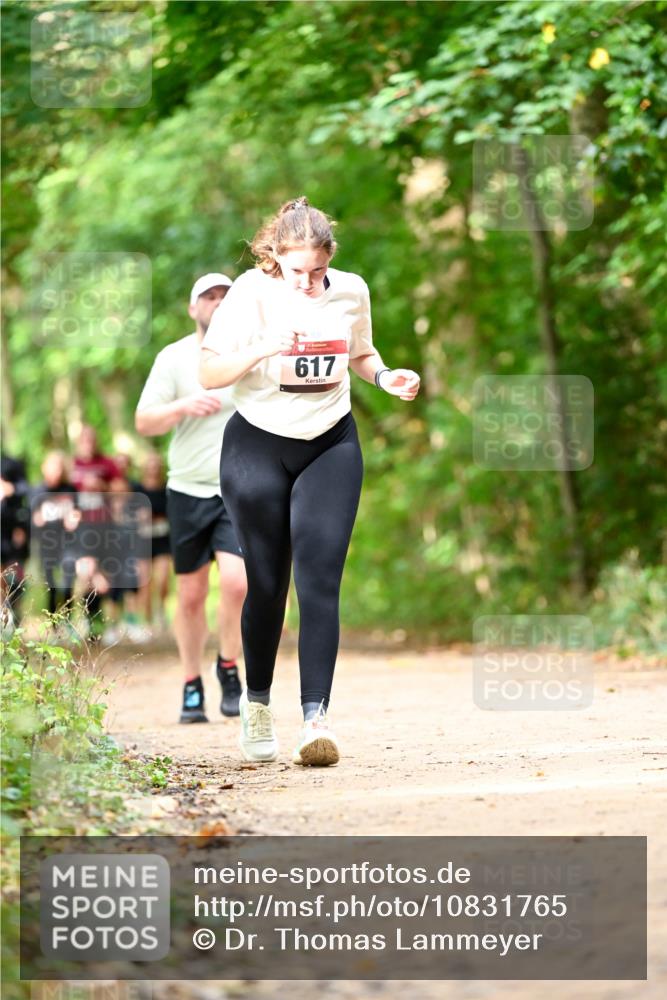 11.10.2026 - Bramfelder Halbmarathon 2026 Dr. Thomas Lammeyer http://msf.ph/oto/10831765 11.10.2026 11:17:11 Laufen 617 meine-sportfotos.de