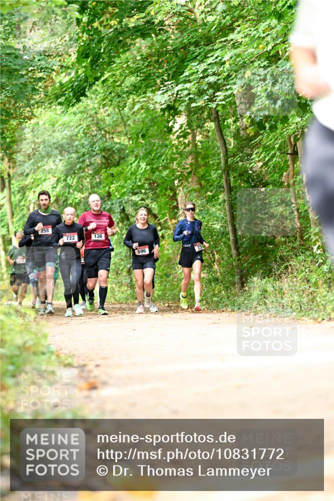 11.10.2026 - Bramfelder Halbmarathon 2026 Dr. Thomas Lammeyer http://msf.ph/oto/10831772 11.10.2026 11:17:16 Laufen 776, 258, 722, 136, 596 meine-sportfotos.de