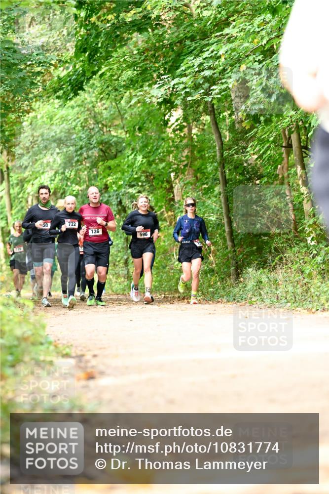 11.10.2026 - Bramfelder Halbmarathon 2026 Dr. Thomas Lammeyer http://msf.ph/oto/10831774 11.10.2026 11:17:16 Laufen 776, 58, 722, 136, 596 meine-sportfotos.de