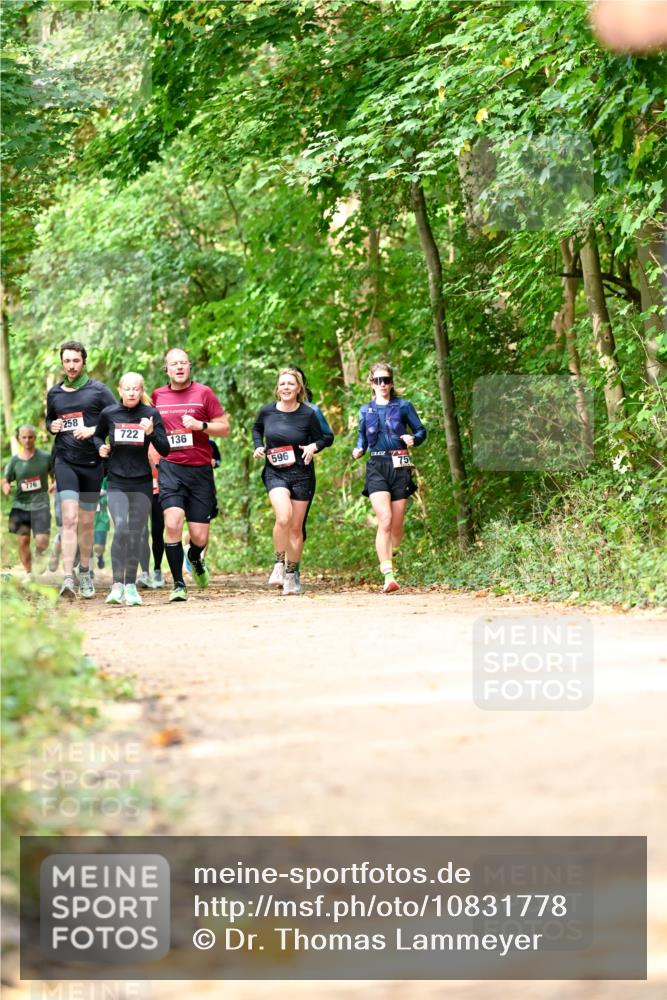 11.10.2026 - Bramfelder Halbmarathon 2026 Dr. Thomas Lammeyer http://msf.ph/oto/10831778 11.10.2026 11:17:16 Laufen 776, 258, 722, 136, 596, 75 meine-sportfotos.de