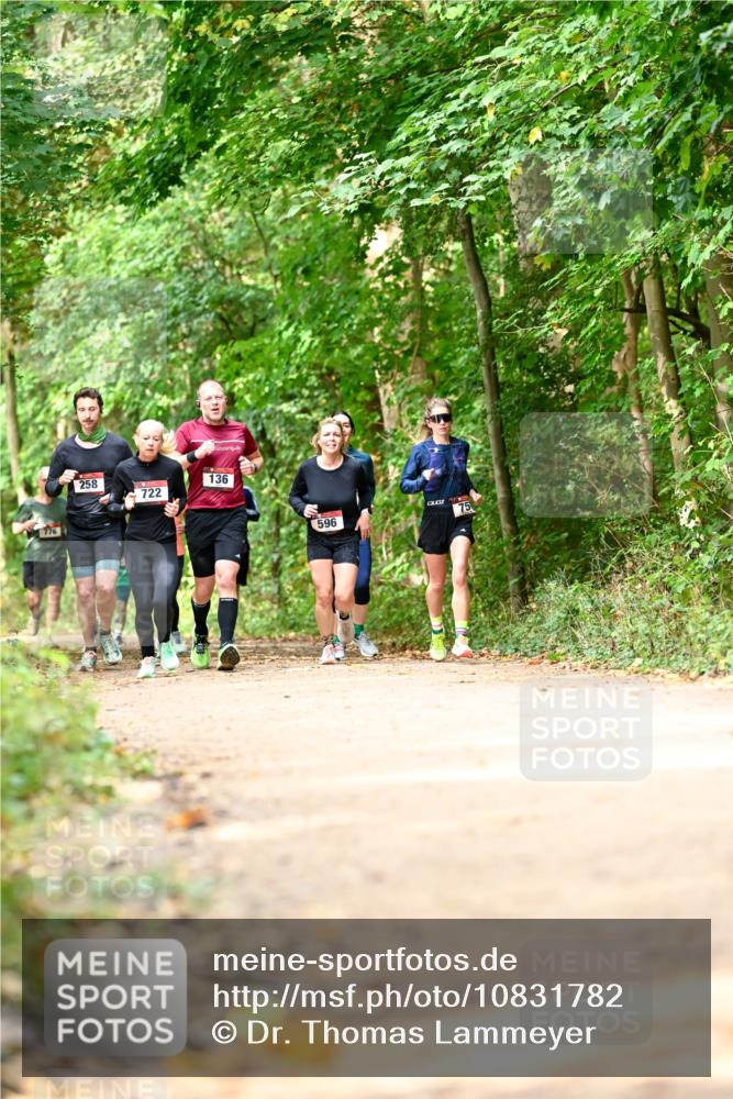 11.10.2026 - Bramfelder Halbmarathon 2026 Dr. Thomas Lammeyer http://msf.ph/oto/10831782 11.10.2026 11:17:16 Laufen 776, 258, 136, 722, 596 meine-sportfotos.de