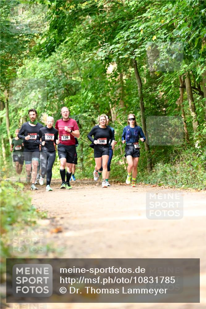 11.10.2026 - Bramfelder Halbmarathon 2026 Dr. Thomas Lammeyer http://msf.ph/oto/10831785 11.10.2026 11:17:16 Laufen 776, 258, 722, 136, 596, 75 meine-sportfotos.de