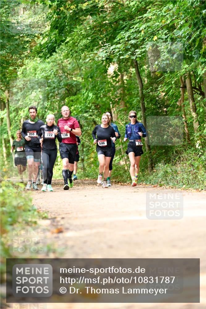 11.10.2026 - Bramfelder Halbmarathon 2026 Dr. Thomas Lammeyer http://msf.ph/oto/10831787 11.10.2026 11:17:17 Laufen 776, 258, 722, 136, 596, 75 meine-sportfotos.de
