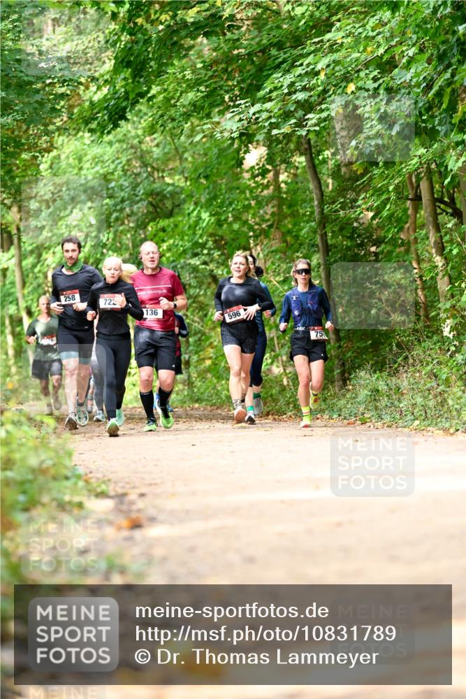 11.10.2026 - Bramfelder Halbmarathon 2026 Dr. Thomas Lammeyer http://msf.ph/oto/10831789 11.10.2026 11:17:17 Laufen 258, 722, 136, 596, 75 meine-sportfotos.de