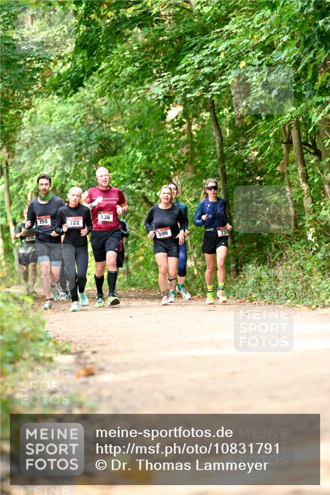 11.10.2026 - Bramfelder Halbmarathon 2026 Dr. Thomas Lammeyer http://msf.ph/oto/10831791 11.10.2026 11:17:17 Laufen 776, 258, 722, 136, 596, 75 meine-sportfotos.de