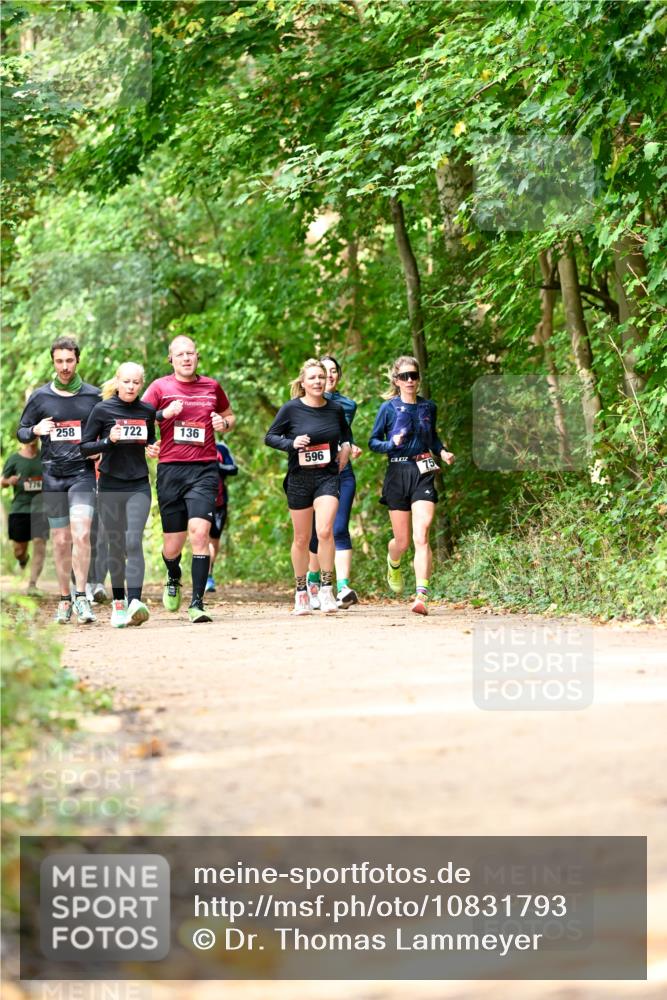 11.10.2026 - Bramfelder Halbmarathon 2026 Dr. Thomas Lammeyer http://msf.ph/oto/10831793 11.10.2026 11:17:17 Laufen 776, 258, 722, 136, 596 meine-sportfotos.de