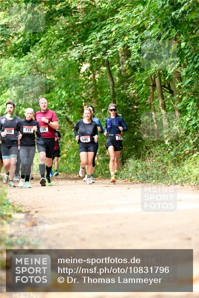 11.10.2026 - Bramfelder Halbmarathon 2026 Dr. Thomas Lammeyer http://msf.ph/oto/10831796 11.10.2026 11:17:17 Laufen 258, 722, 136, 596, 75 meine-sportfotos.de