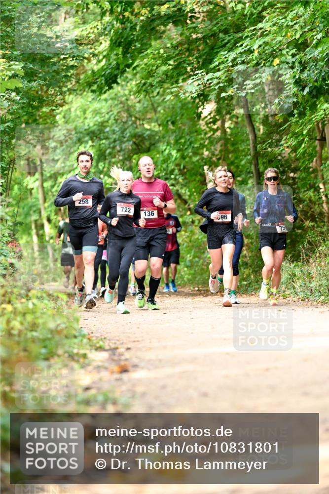 11.10.2026 - Bramfelder Halbmarathon 2026 Dr. Thomas Lammeyer http://msf.ph/oto/10831801 11.10.2026 11:17:18 Laufen 258, 722, 136, 96, 75 meine-sportfotos.de