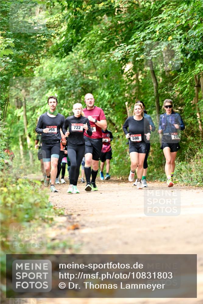 11.10.2026 - Bramfelder Halbmarathon 2026 Dr. Thomas Lammeyer http://msf.ph/oto/10831803 11.10.2026 11:17:18 Laufen 722, 258, 6, 596, 15 meine-sportfotos.de