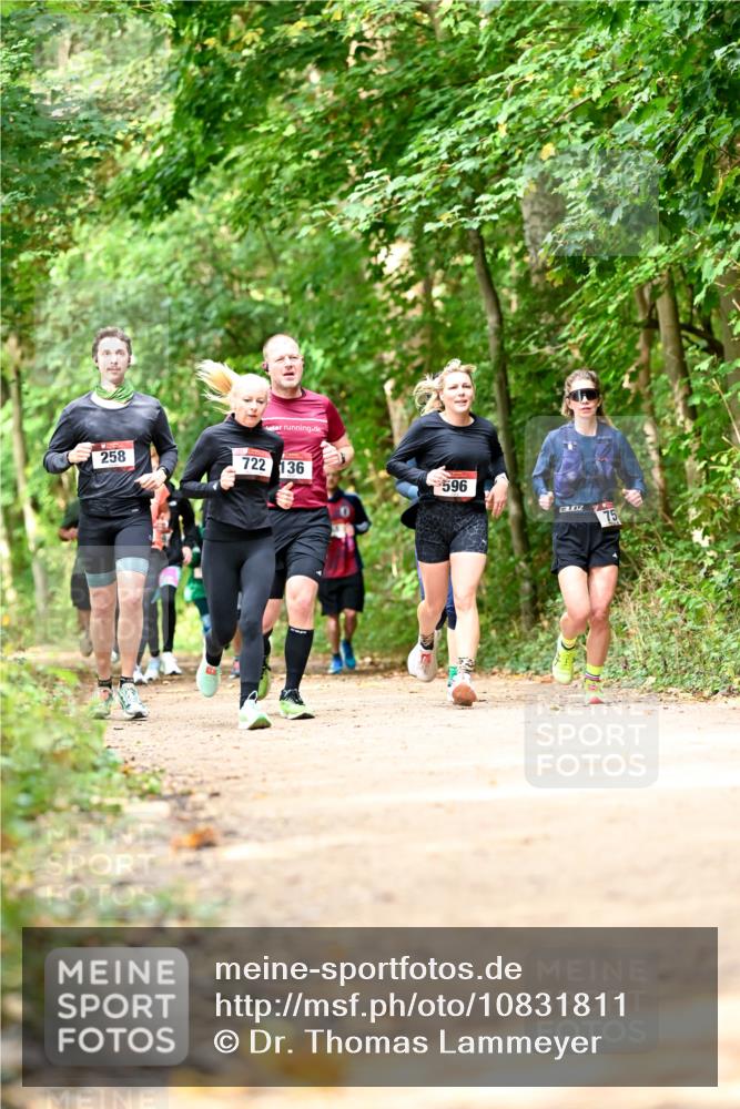 11.10.2026 - Bramfelder Halbmarathon 2026 Dr. Thomas Lammeyer http://msf.ph/oto/10831811 11.10.2026 11:17:19 Laufen 258, 722, 136, 596, 75 meine-sportfotos.de