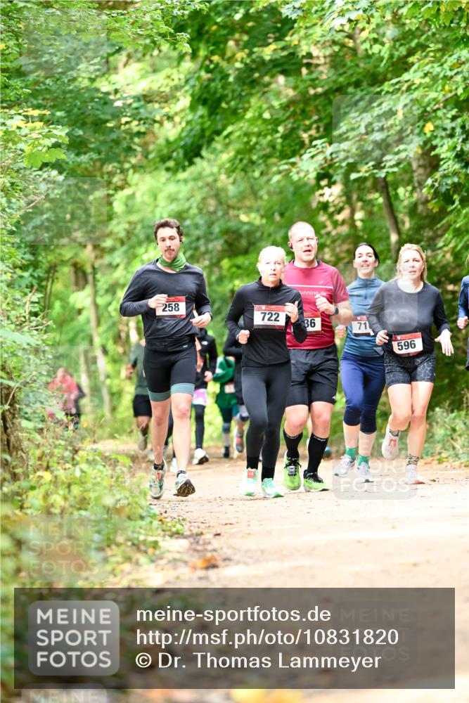 11.10.2026 - Bramfelder Halbmarathon 2026 Dr. Thomas Lammeyer http://msf.ph/oto/10831820 11.10.2026 11:17:19 Laufen 258, 722, 36, 71, 596 meine-sportfotos.de