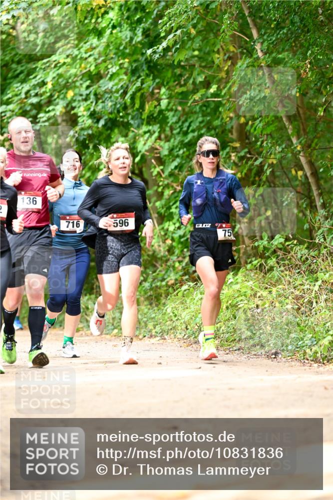 11.10.2026 - Bramfelder Halbmarathon 2026 Dr. Thomas Lammeyer http://msf.ph/oto/10831836 11.10.2026 11:17:21 Laufen 136, 716, 596, 75 meine-sportfotos.de