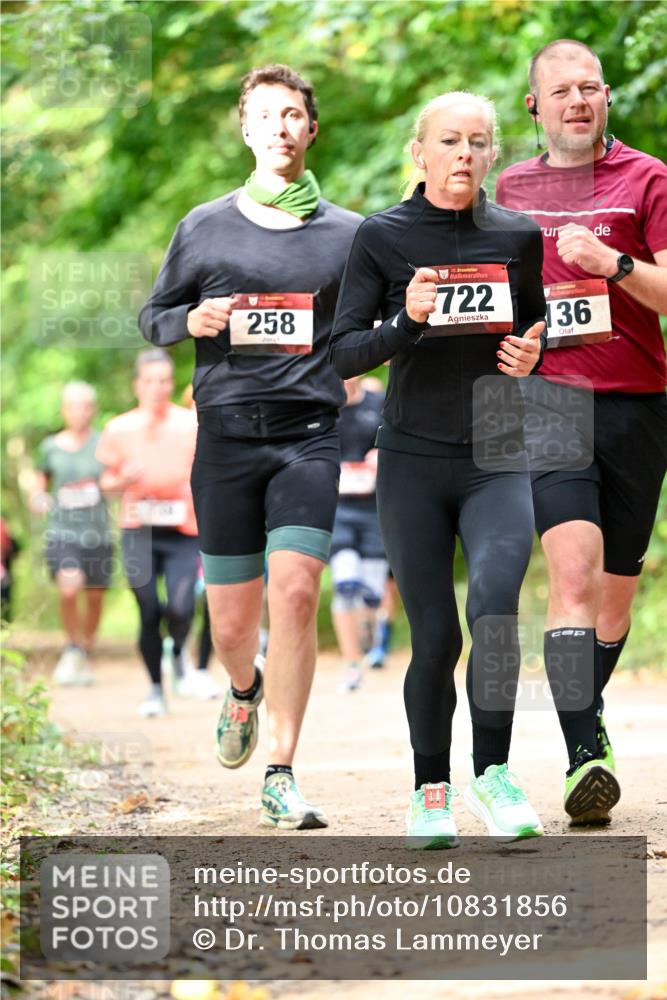 11.10.2026 - Bramfelder Halbmarathon 2026 Dr. Thomas Lammeyer http://msf.ph/oto/10831856 11.10.2026 11:17:23 Laufen 258, 35, 722, 136 meine-sportfotos.de