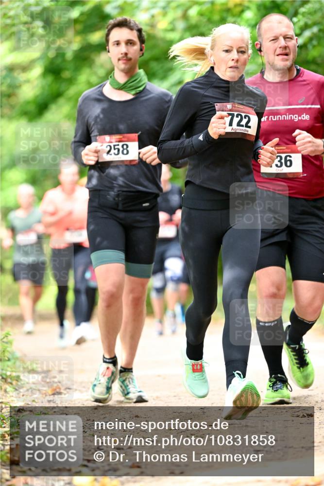 11.10.2026 - Bramfelder Halbmarathon 2026 Dr. Thomas Lammeyer http://msf.ph/oto/10831858 11.10.2026 11:17:23 Laufen 258, 722, 36 meine-sportfotos.de