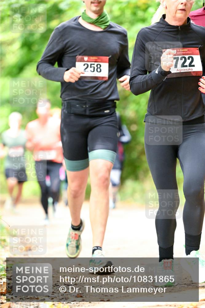 11.10.2026 - Bramfelder Halbmarathon 2026 Dr. Thomas Lammeyer http://msf.ph/oto/10831865 11.10.2026 11:17:23 Laufen 258, 35, 722 meine-sportfotos.de