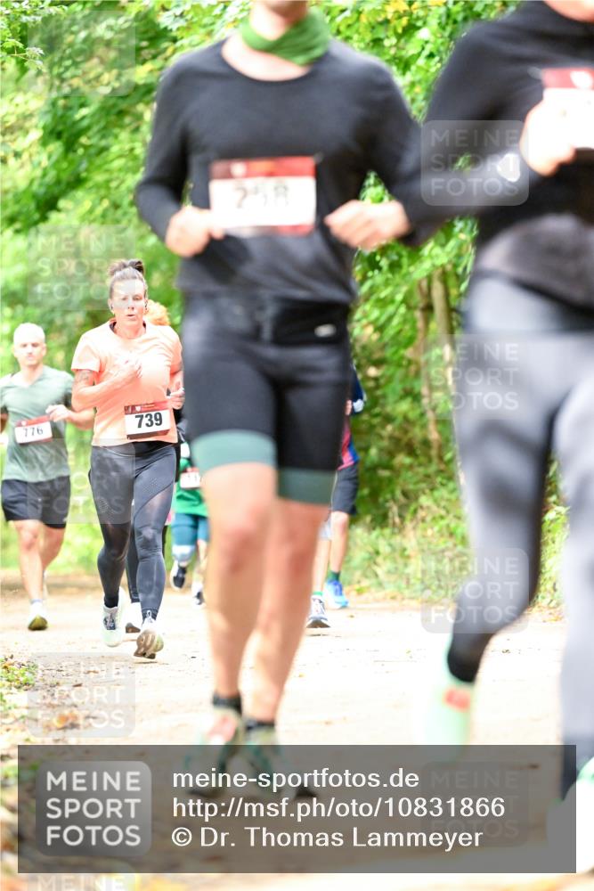 11.10.2026 - Bramfelder Halbmarathon 2026 Dr. Thomas Lammeyer http://msf.ph/oto/10831866 11.10.2026 11:17:23 Laufen 776, 739, 258 meine-sportfotos.de