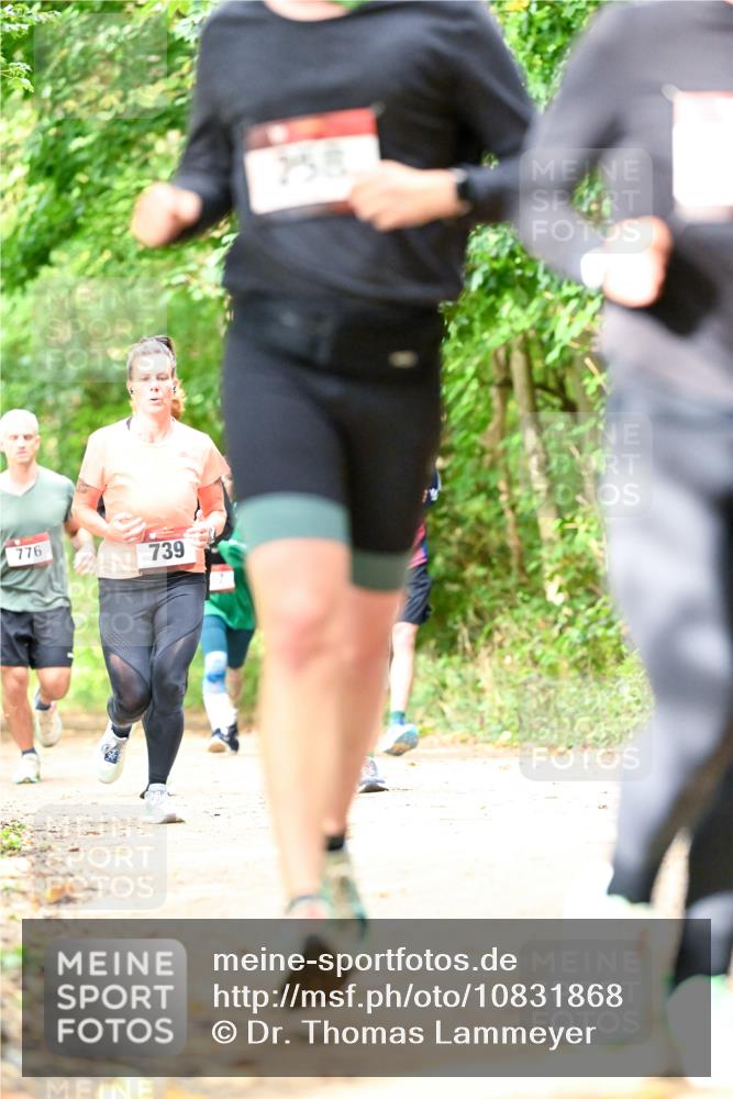 11.10.2026 - Bramfelder Halbmarathon 2026 Dr. Thomas Lammeyer http://msf.ph/oto/10831868 11.10.2026 11:17:24 Laufen 776, 739, 258 meine-sportfotos.de