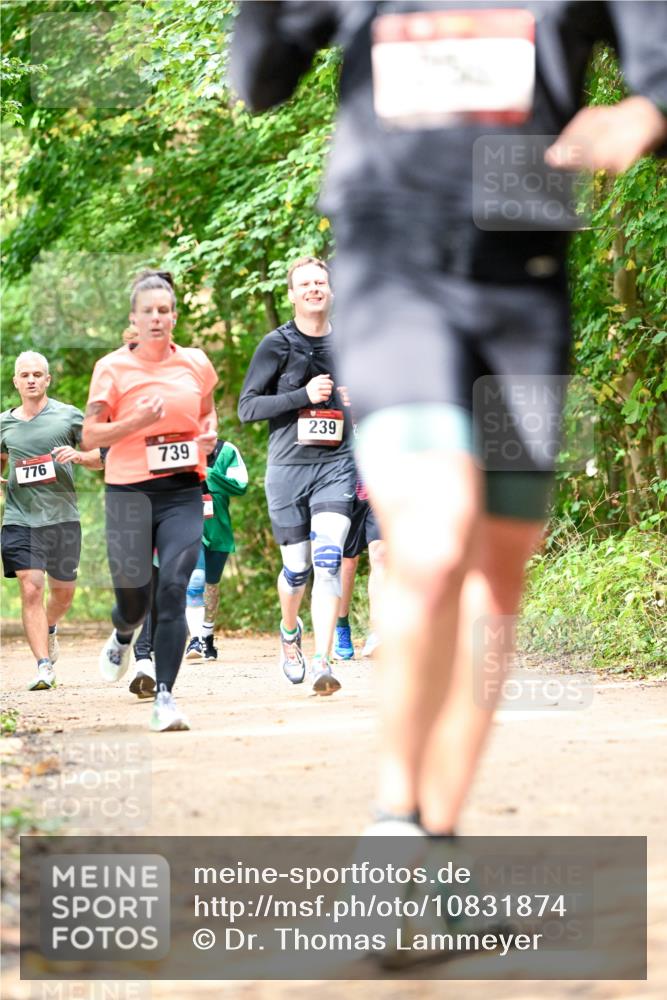 11.10.2026 - Bramfelder Halbmarathon 2026 Dr. Thomas Lammeyer http://msf.ph/oto/10831874 11.10.2026 11:17:24 Laufen 776, 239, 739 meine-sportfotos.de