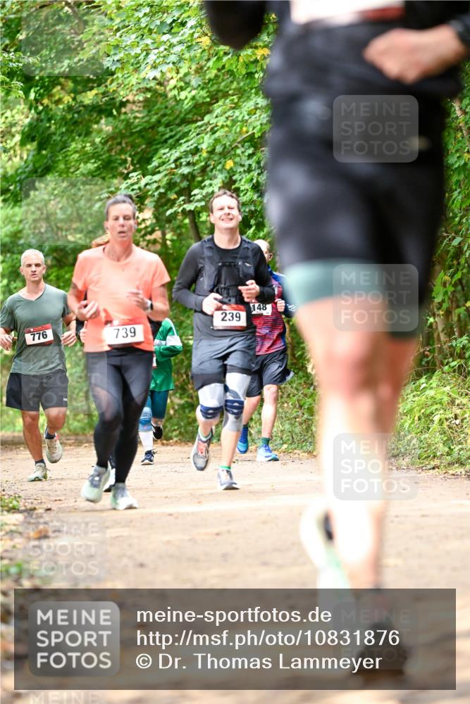 11.10.2026 - Bramfelder Halbmarathon 2026 Dr. Thomas Lammeyer http://msf.ph/oto/10831876 11.10.2026 11:17:24 Laufen 776, 239, 739, 148 meine-sportfotos.de