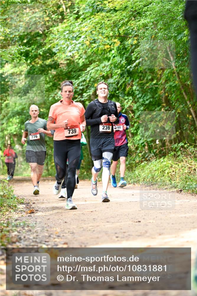 11.10.2026 - Bramfelder Halbmarathon 2026 Dr. Thomas Lammeyer http://msf.ph/oto/10831881 11.10.2026 11:17:25 Laufen 776, 739, 239, 48 meine-sportfotos.de