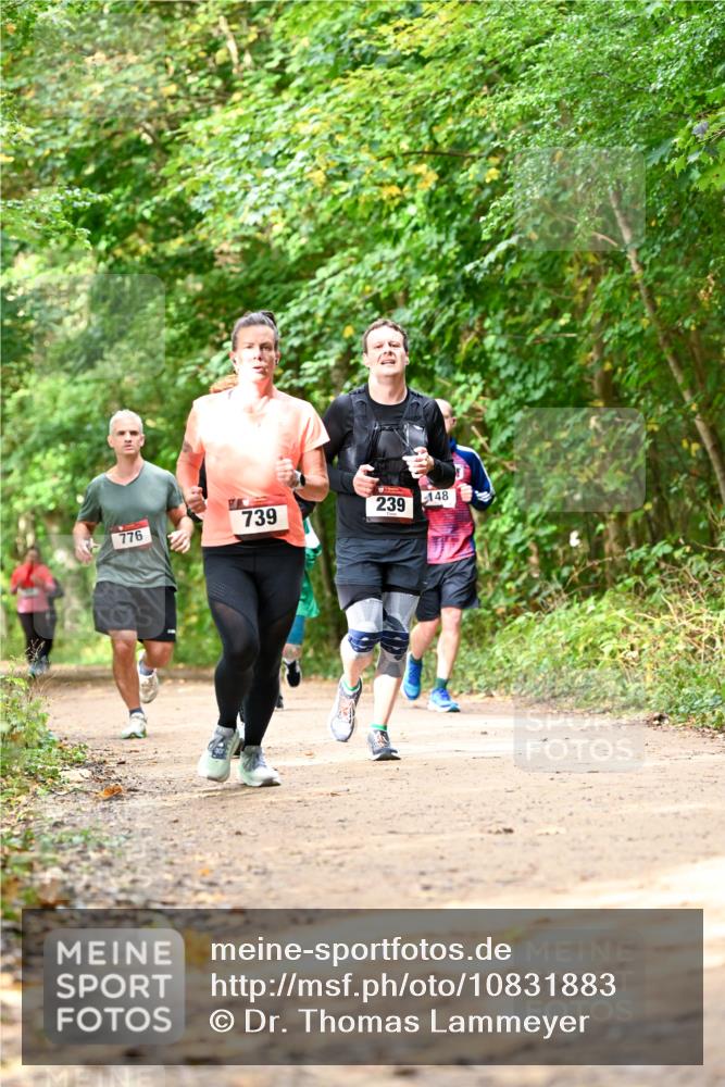 11.10.2026 - Bramfelder Halbmarathon 2026 Dr. Thomas Lammeyer http://msf.ph/oto/10831883 11.10.2026 11:17:25 Laufen 776, 739, 239, 148 meine-sportfotos.de