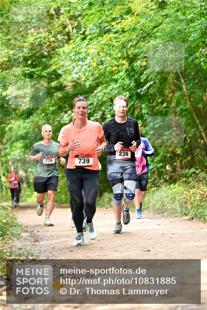 11.10.2026 - Bramfelder Halbmarathon 2026 Dr. Thomas Lammeyer http://msf.ph/oto/10831885 11.10.2026 11:17:25 Laufen 239, 48, 776, 739 meine-sportfotos.de
