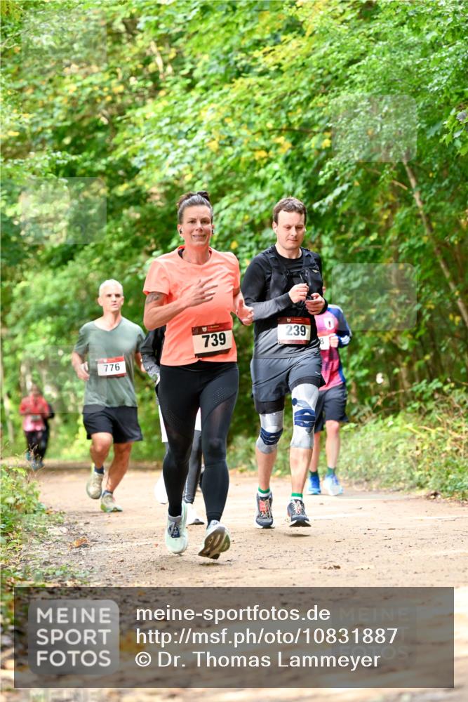 11.10.2026 - Bramfelder Halbmarathon 2026 Dr. Thomas Lammeyer http://msf.ph/oto/10831887 11.10.2026 11:17:25 Laufen 776, 739, 239 meine-sportfotos.de
