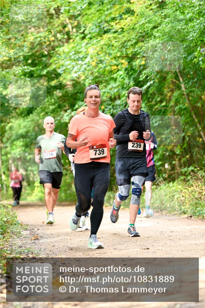 11.10.2026 - Bramfelder Halbmarathon 2026 Dr. Thomas Lammeyer http://msf.ph/oto/10831889 11.10.2026 11:17:26 Laufen 776, 739, 239 meine-sportfotos.de