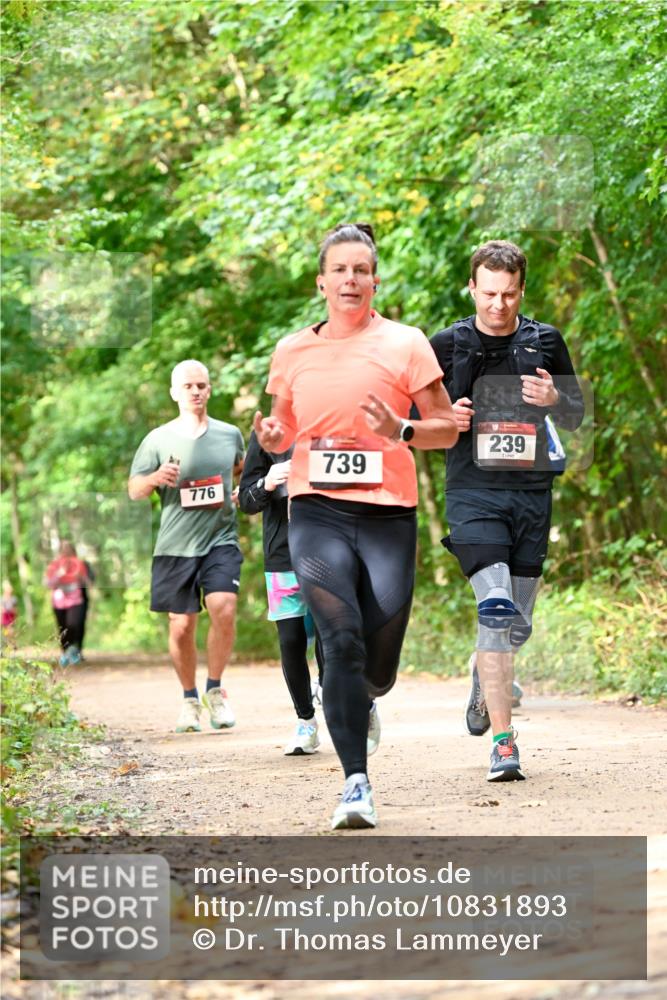 11.10.2026 - Bramfelder Halbmarathon 2026 Dr. Thomas Lammeyer http://msf.ph/oto/10831893 11.10.2026 11:17:26 Laufen 776, 739, 239 meine-sportfotos.de