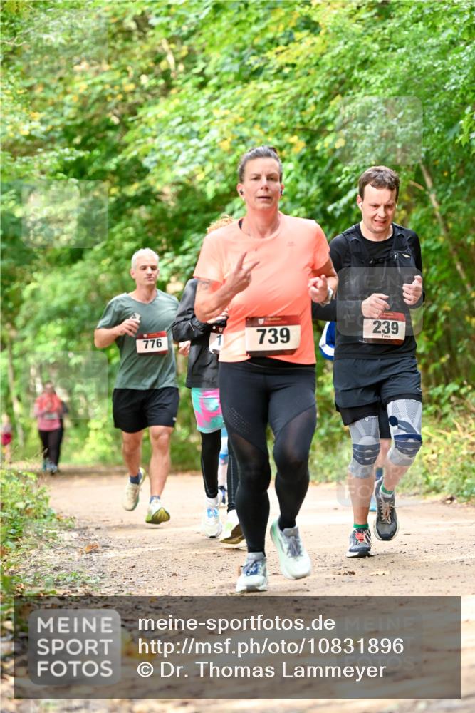 11.10.2026 - Bramfelder Halbmarathon 2026 Dr. Thomas Lammeyer http://msf.ph/oto/10831896 11.10.2026 11:17:26 Laufen 776, 739, 239 meine-sportfotos.de