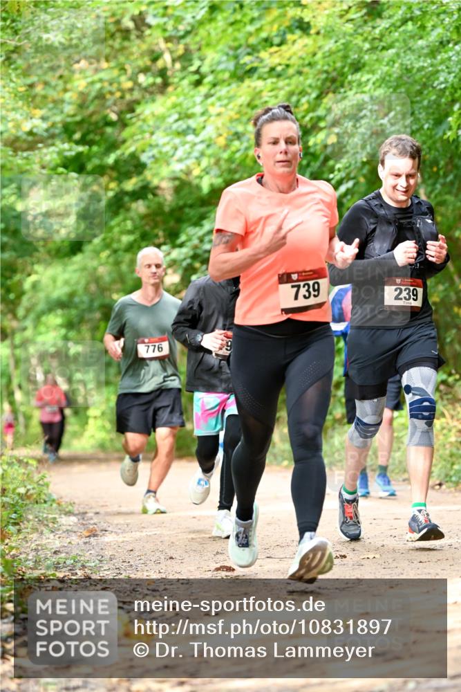 11.10.2026 - Bramfelder Halbmarathon 2026 Dr. Thomas Lammeyer http://msf.ph/oto/10831897 11.10.2026 11:17:26 Laufen 776, 739, 239 meine-sportfotos.de