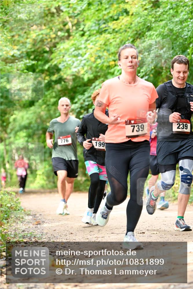11.10.2026 - Bramfelder Halbmarathon 2026 Dr. Thomas Lammeyer http://msf.ph/oto/10831899 11.10.2026 11:17:26 Laufen 776, 199, 739, 239 meine-sportfotos.de