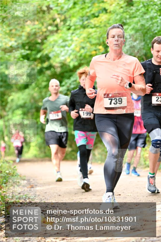 11.10.2026 - Bramfelder Halbmarathon 2026 Dr. Thomas Lammeyer http://msf.ph/oto/10831901 11.10.2026 11:17:26 Laufen 199, 739, 23 meine-sportfotos.de