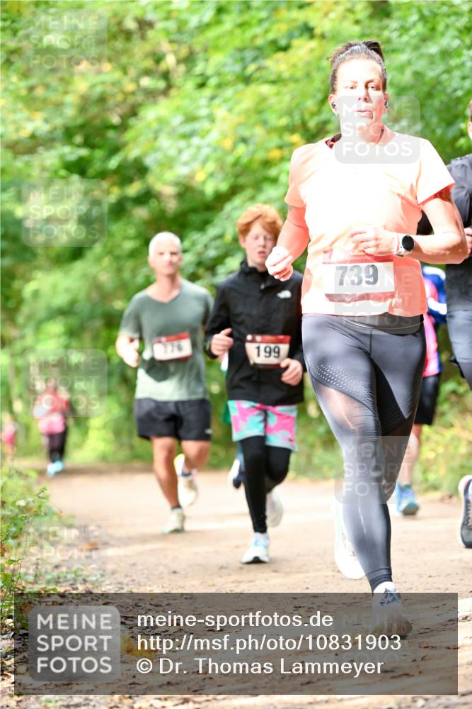 11.10.2026 - Bramfelder Halbmarathon 2026 Dr. Thomas Lammeyer http://msf.ph/oto/10831903 11.10.2026 11:17:27 Laufen 776, 199, 739 meine-sportfotos.de