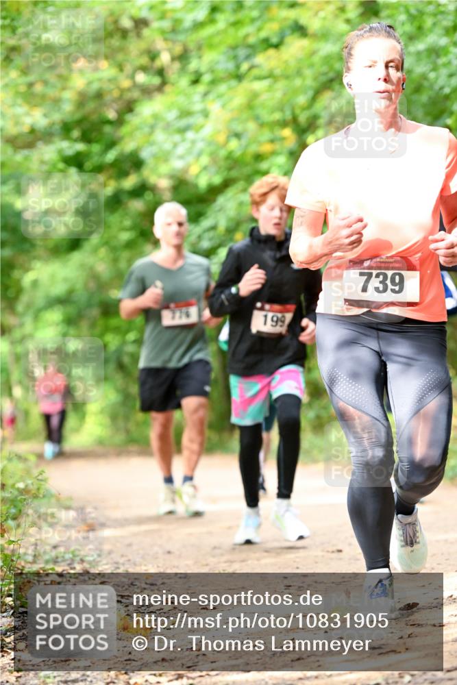 11.10.2026 - Bramfelder Halbmarathon 2026 Dr. Thomas Lammeyer http://msf.ph/oto/10831905 11.10.2026 11:17:27 Laufen 776, 199, 739 meine-sportfotos.de
