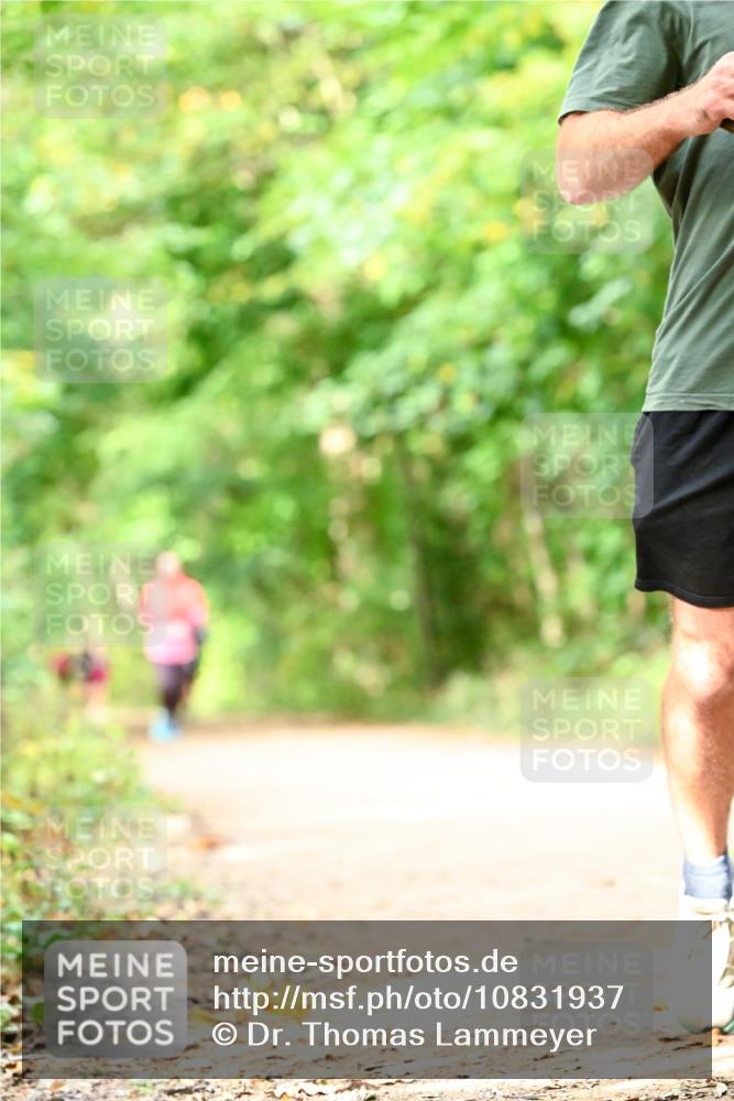 11.10.2026 - Bramfelder Halbmarathon 2026 Dr. Thomas Lammeyer http://msf.ph/oto/10831937 11.10.2026 11:17:29 Laufen  meine-sportfotos.de