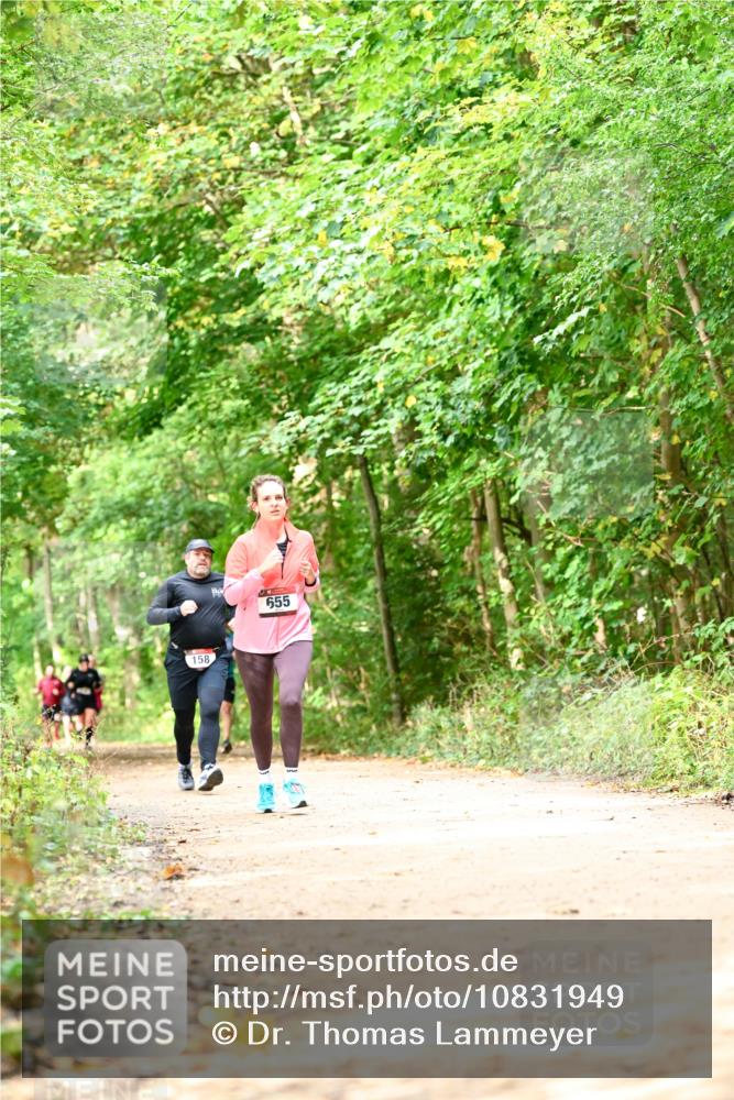 11.10.2026 - Bramfelder Halbmarathon 2026 Dr. Thomas Lammeyer http://msf.ph/oto/10831949 11.10.2026 11:17:33 Laufen 158, 655 meine-sportfotos.de