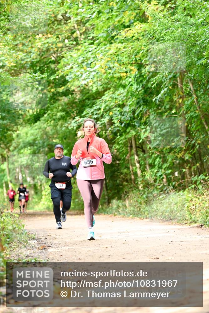 11.10.2026 - Bramfelder Halbmarathon 2026 Dr. Thomas Lammeyer http://msf.ph/oto/10831967 11.10.2026 11:17:34 Laufen 58, 655 meine-sportfotos.de