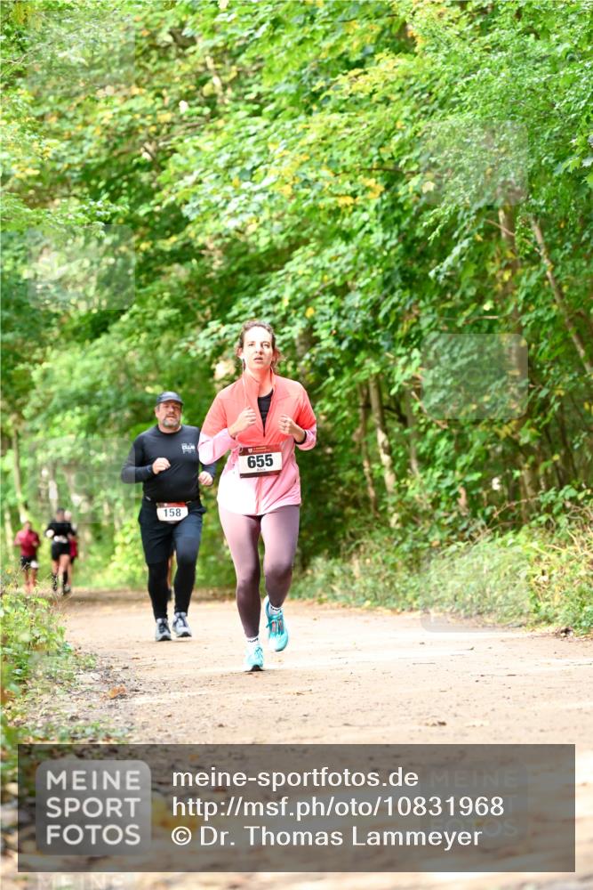 11.10.2026 - Bramfelder Halbmarathon 2026 Dr. Thomas Lammeyer http://msf.ph/oto/10831968 11.10.2026 11:17:34 Laufen 158, 655 meine-sportfotos.de