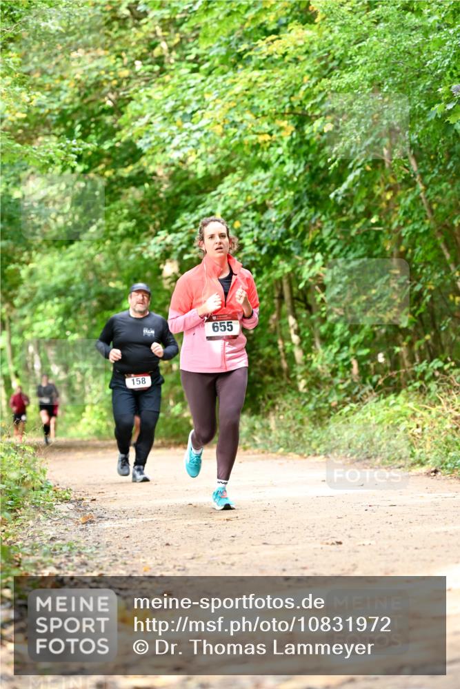 11.10.2026 - Bramfelder Halbmarathon 2026 Dr. Thomas Lammeyer http://msf.ph/oto/10831972 11.10.2026 11:17:35 Laufen 158, 655 meine-sportfotos.de
