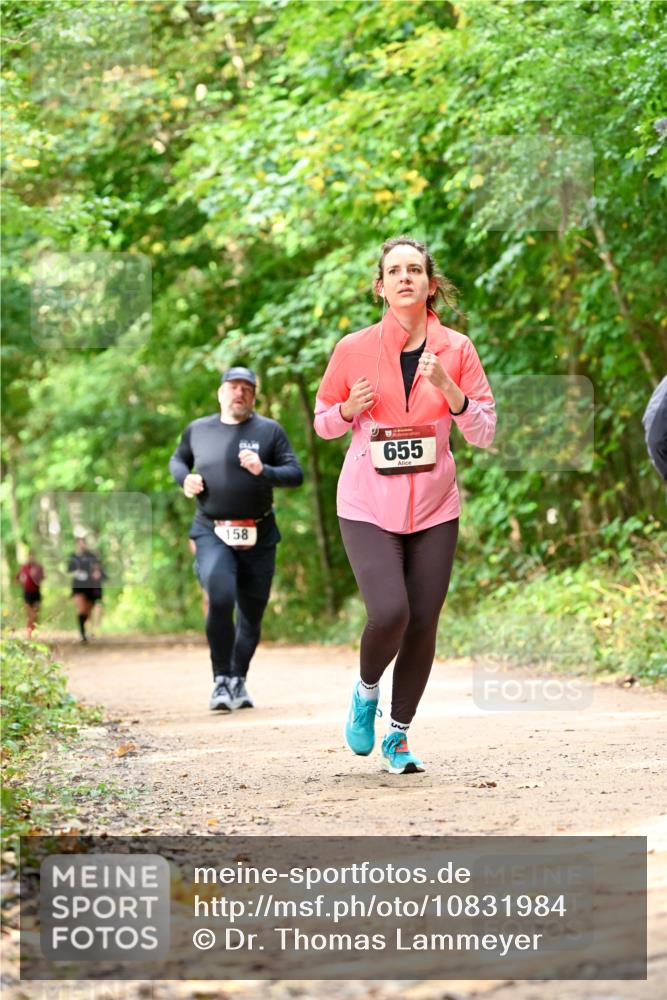 11.10.2026 - Bramfelder Halbmarathon 2026 Dr. Thomas Lammeyer http://msf.ph/oto/10831984 11.10.2026 11:17:35 Laufen 158, 655, 435 meine-sportfotos.de
