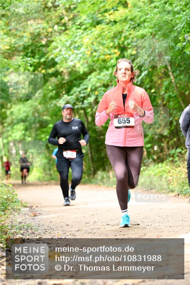 11.10.2026 - Bramfelder Halbmarathon 2026 Dr. Thomas Lammeyer http://msf.ph/oto/10831988 11.10.2026 11:17:36 Laufen 158, 655, 435 meine-sportfotos.de