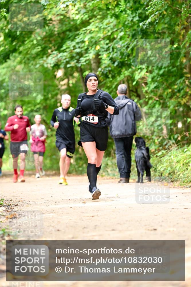 11.10.2026 - Bramfelder Halbmarathon 2026 Dr. Thomas Lammeyer http://msf.ph/oto/10832030 11.10.2026 11:17:45 Laufen 614 meine-sportfotos.de