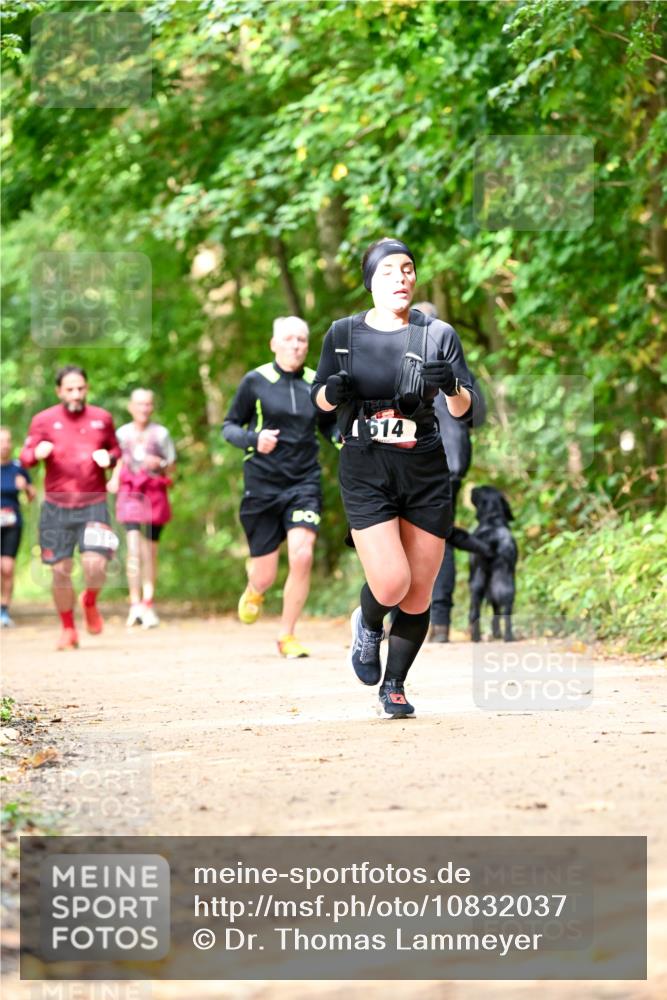 11.10.2026 - Bramfelder Halbmarathon 2026 Dr. Thomas Lammeyer http://msf.ph/oto/10832037 11.10.2026 11:17:46 Laufen 614 meine-sportfotos.de