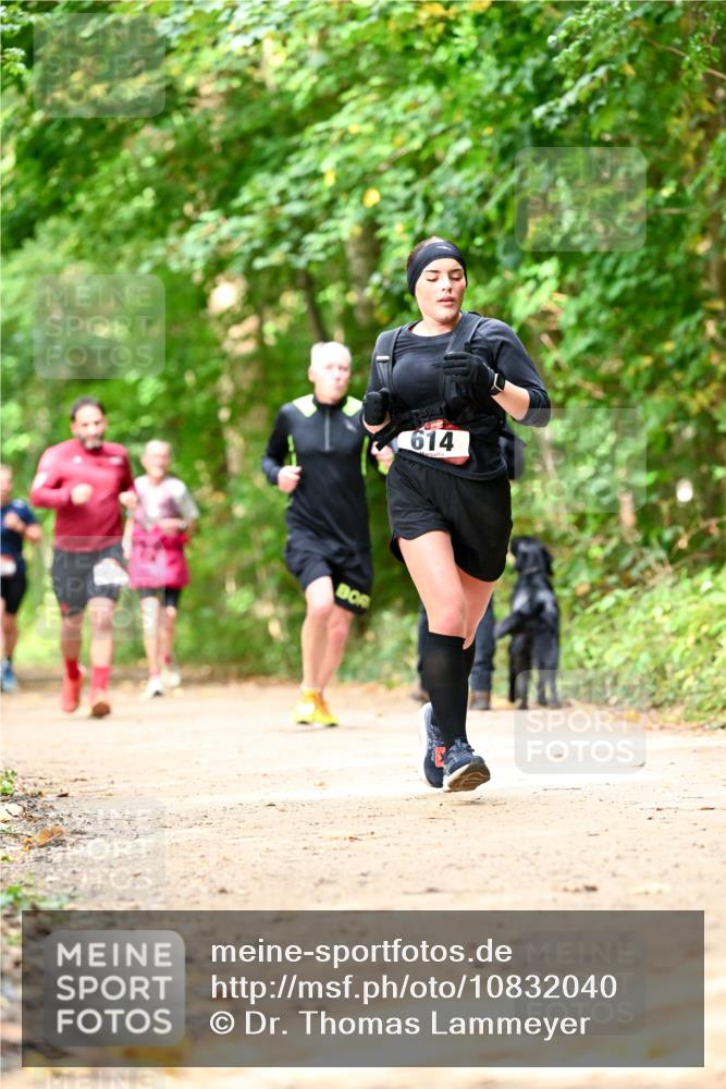 11.10.2026 - Bramfelder Halbmarathon 2026 Dr. Thomas Lammeyer http://msf.ph/oto/10832040 11.10.2026 11:17:46 Laufen 614 meine-sportfotos.de