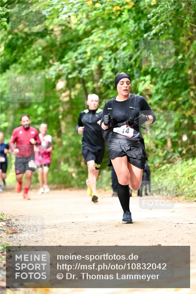 11.10.2026 - Bramfelder Halbmarathon 2026 Dr. Thomas Lammeyer http://msf.ph/oto/10832042 11.10.2026 11:17:46 Laufen  meine-sportfotos.de