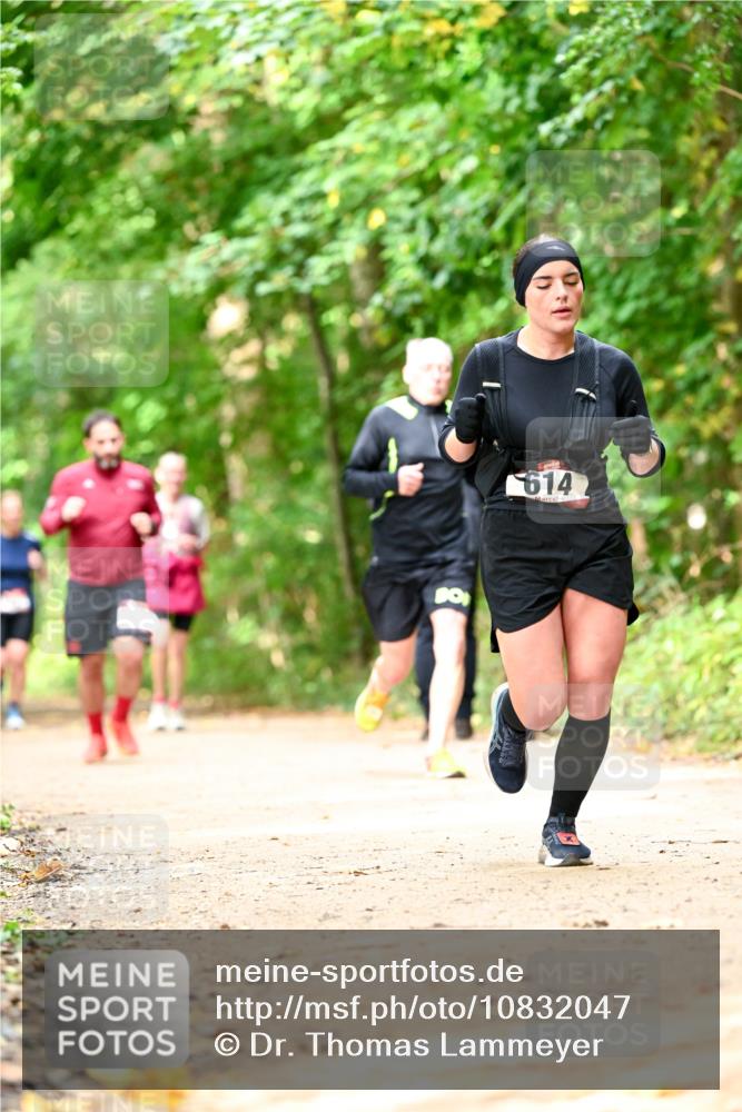 11.10.2026 - Bramfelder Halbmarathon 2026 Dr. Thomas Lammeyer http://msf.ph/oto/10832047 11.10.2026 11:17:47 Laufen 614 meine-sportfotos.de