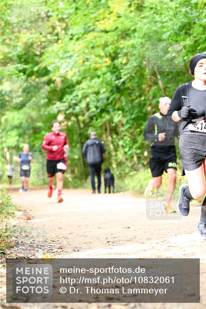 11.10.2026 - Bramfelder Halbmarathon 2026 Dr. Thomas Lammeyer http://msf.ph/oto/10832061 11.10.2026 11:17:48 Laufen 14 meine-sportfotos.de