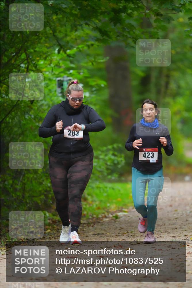 11.10.2026 - Bramfelder Halbmarathon 2026 LAZAROV Photography http://msf.ph/oto/10837525 11.10.2026 11:52:01 Laufen 283, 423, 139 meine-sportfotos.de