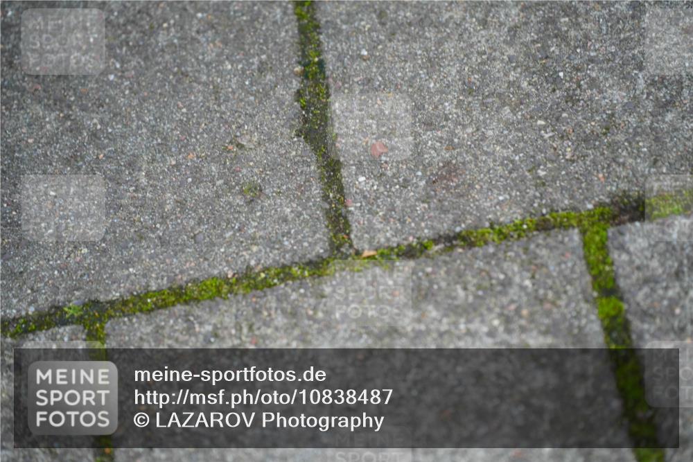 11.10.2026 - Bramfelder Halbmarathon 2026 LAZAROV Photography http://msf.ph/oto/10838487 11.10.2026 09:58:27 Laufen  meine-sportfotos.de
